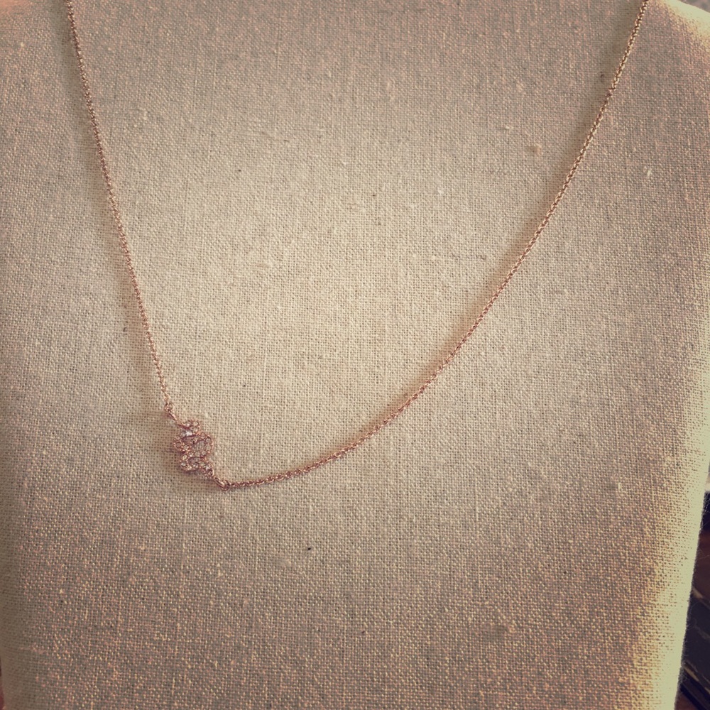 Stella and dot sidewinder necklace